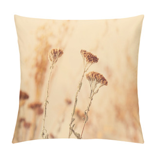 Personality  Autumn Dried Flowers Pillow Covers