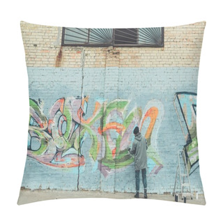 Personality  Back View Of Man Painting Colorful Graffiti On Wall Pillow Covers