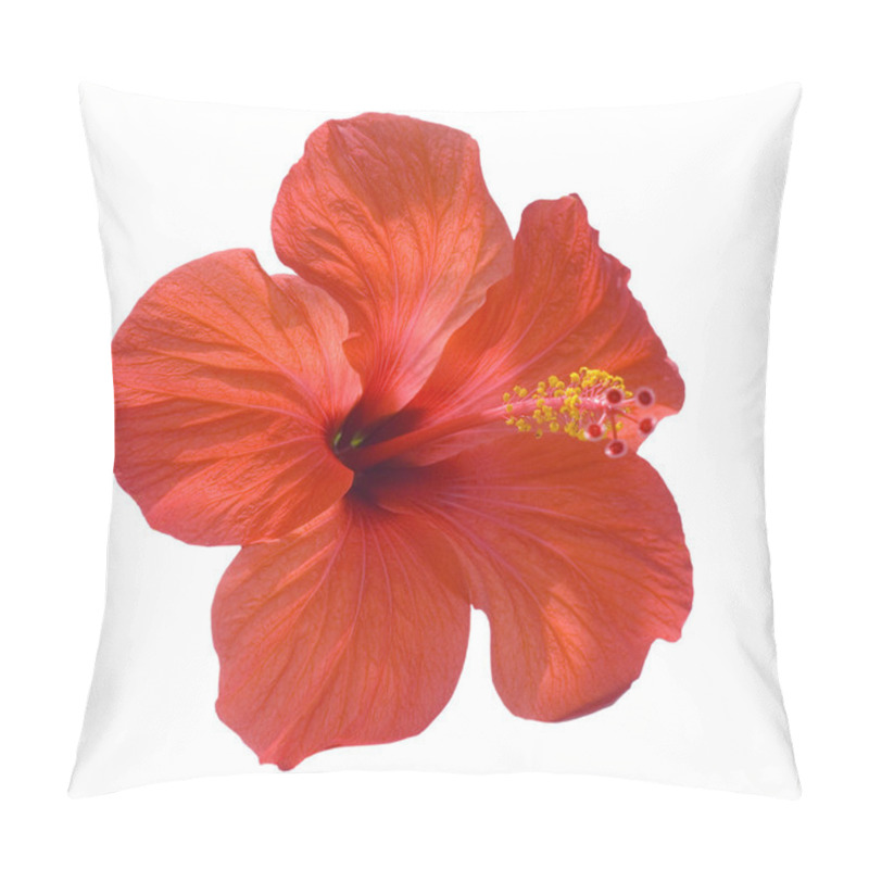 Personality  Hibiscus Flower isolated on white pillow covers