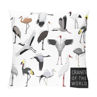 Personality  Birds Cranes Of The World Set Cartoon Vector Character Pillow Covers