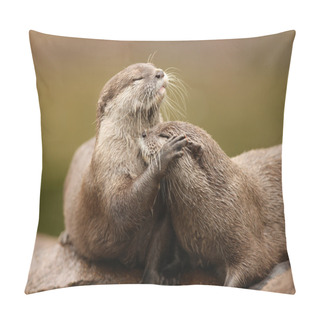 Personality  Oriental Short-Clawed Otters Pillow Covers