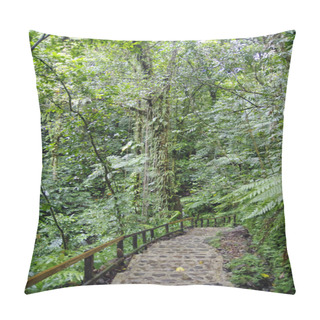 Personality  The Emerald Pool Trail. Central Forest Reserve. Dominca Island, Lesser Antilles Pillow Covers