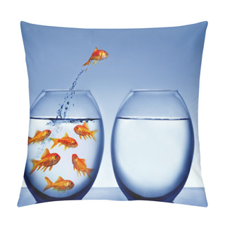 Personality  Goldfish Jumping Out Of The Water Pillow Covers