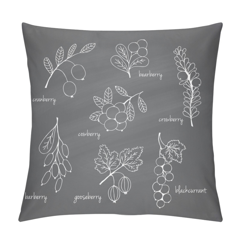 Personality  Set of garden and wild chalk hand-drawn berries pillow covers