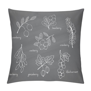 Personality  Set Of Garden And Wild Chalk Hand-drawn Berries Pillow Covers