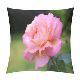 Personality  Flowers Pillow Covers