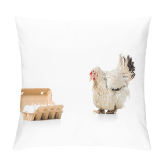 Personality  White Hen And Raw Eggs In Egg Box Isolated On White Pillow Covers