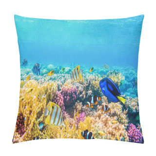 Personality  Seascape With Tropical Fish And Coral Reefs Pillow Covers