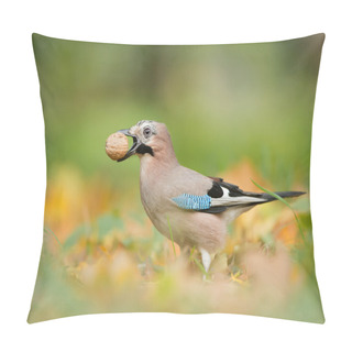 Personality  European Blue Jay With Walnut  Pillow Covers