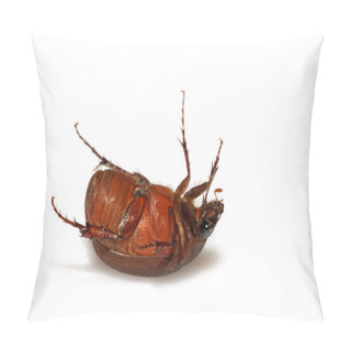 Personality  Insects On A White Background Pillow Covers