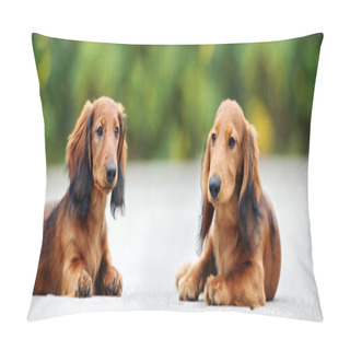 Personality  Two Red Dachshund Puppies Lying Down Outdoors In Summer Pillow Covers