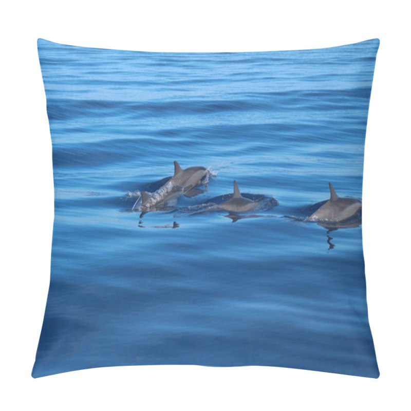Personality  Four dolphin fins emerging from the deep waters pillow covers