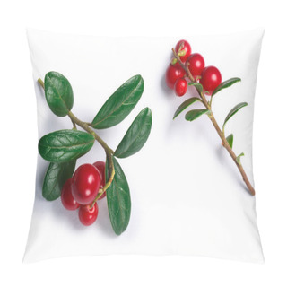 Personality  Lingonberry Vaccinium Vitis-idaea, Top View, Paths Pillow Covers