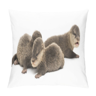 Personality  Baby Asian Small-clawed Otters, Amblonyx Cinerea Pillow Covers