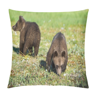 Personality  Cubs Of Brown Bear Pillow Covers