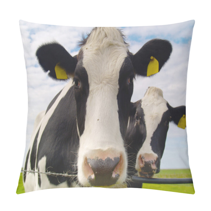 Personality  Cows on pasture pillow covers
