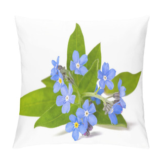 Personality  Forget Me Not (Myosotis) Flowers On White Background Pillow Covers