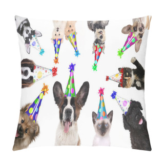 Personality  Pet Animals Isolated Wearing Birthday Hats For A Party Pillow Covers