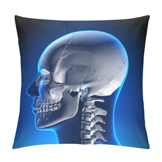 Personality  Brain Anatomy - White Skull Pillow Covers
