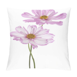 Personality  Cosmos Flowers Pillow Covers