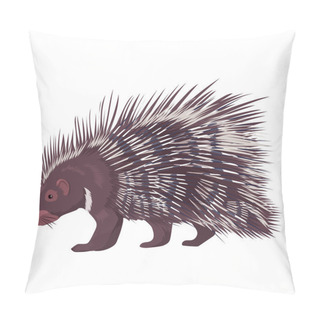 Personality  Vector Illustration Porcupine Isolated Pillow Covers