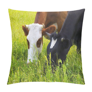 Personality  Cows On  Field Pillow Covers