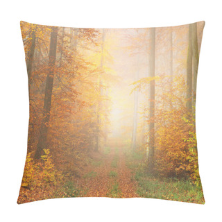 Personality  Mysterious Morning Fog In Autumn Forest Pillow Covers