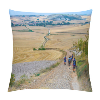 Personality  Picturesque Countryside In Northern Spain, Europe. Famous Camino De Santiago Walking Road Pillow Covers