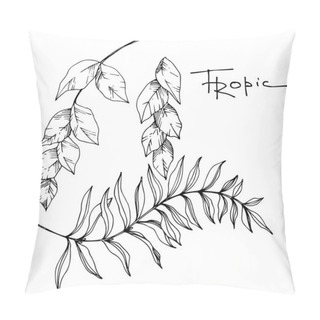 Personality  Vector Palm Beach Tree Leaves Jungle Botanical. Black And White Engraved Ink Art. Isolated Leaf Illustration Element. Pillow Covers