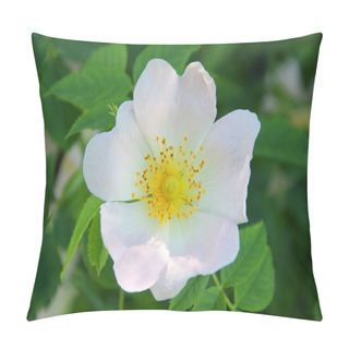 Personality  Wild Rose Pillow Covers