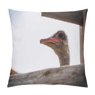 Personality  Closeup Shot Of Ostrich Muzzle Against Cloudy Sky At Zoo Pillow Covers