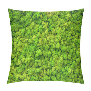 Personality  Full Frame Of Light Green Finland Moss Pillow Covers