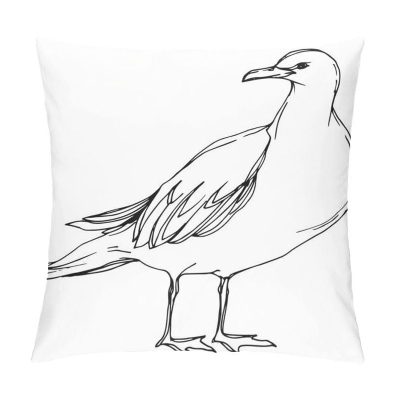Personality  Sky bird seagull in a wildlife. Black and white engraved ink art. Isolated gull illustration element. pillow covers