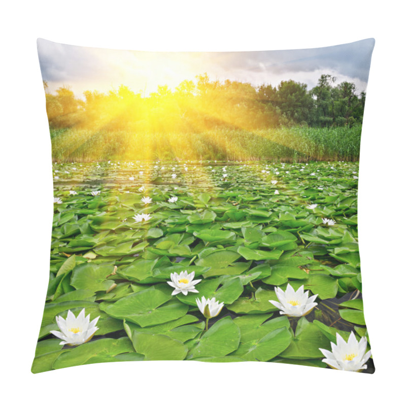 Personality  Sunrise over a spring lake pillow covers