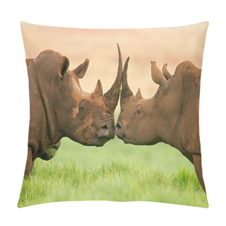 Personality  White Rhinoceros Pillow Covers