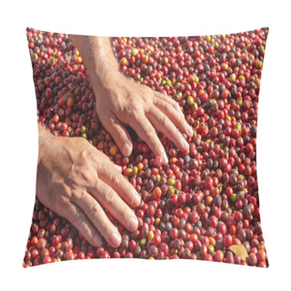 Personality  Fresh Arabica Red Coffee Beans Berries In Han Pillow Covers