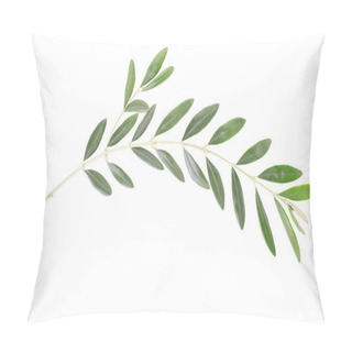 Personality  Olive Branch, Peace Symbol Pillow Covers