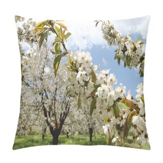 Personality  Almond Flower Trees At Spring Pillow Covers