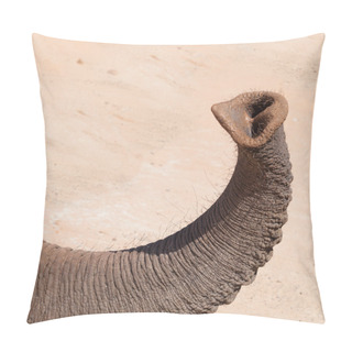 Personality  Elefant Trunk Pillow Covers