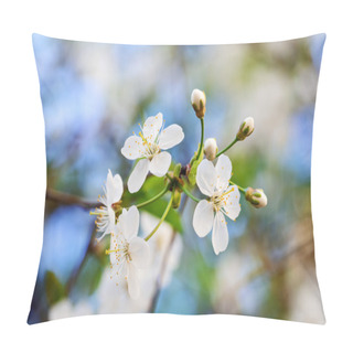 Personality  Cherry Blossoms On Spring Day Pillow Covers