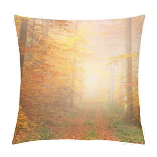 Personality  Mysterious Morning Fog In A Beautiful Beech Tree Forest. Forest Road With Autumn Trees With Yellow And Orange Foliage. Heidelberg, Germany Pillow Covers