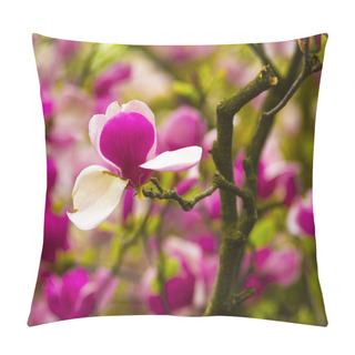 Personality  Decoration Of Few Magnolia Flowers. Magnolia. Magnolia Flower. M Pillow Covers