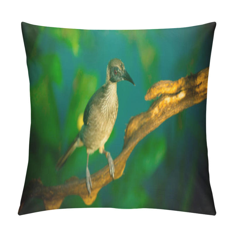 Personality  Philemon buceroides sitting on tree branch on green bokeh background, the best photo. pillow covers