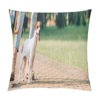 Personality  Panoramic Crop Of Woman Standing Near Jack Russell Terrier On Leash On Walkway In Park Pillow Covers