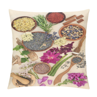 Personality  Healing Herbs And Flowers For Health And Wellness For Alternative Plant Based Herbal Medicine Remedies. Natural Health Care Concept. Top View, Flat Lay On Cream Background. Pillow Covers