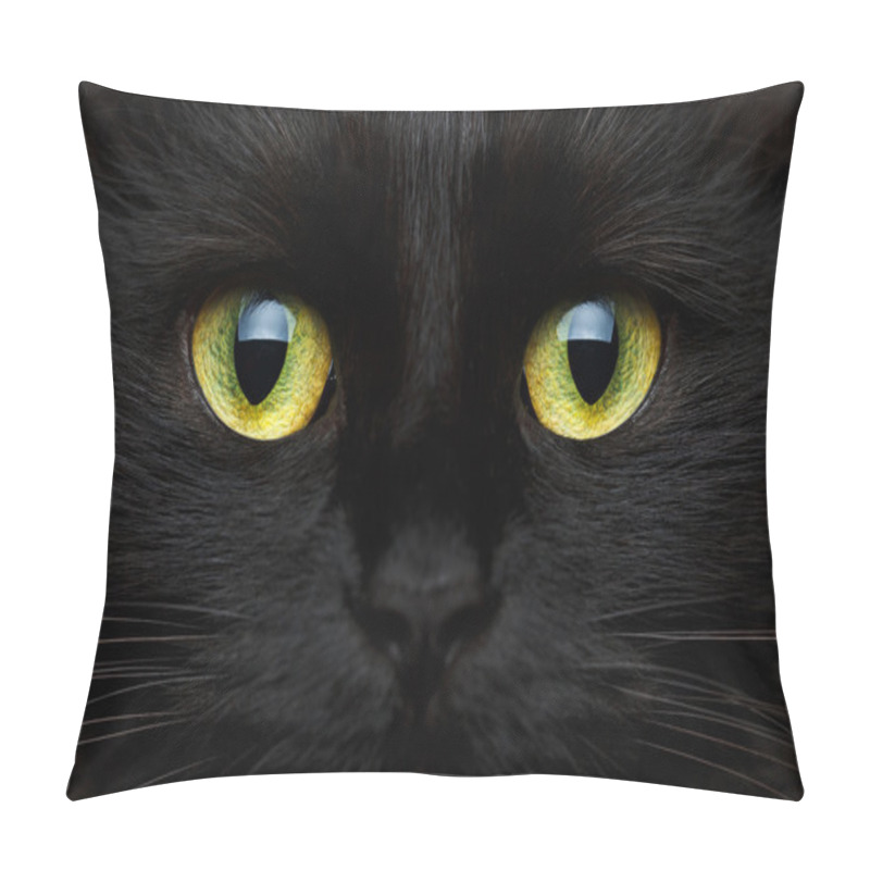 Personality  Cute muzzle of a black cat closeup pillow covers