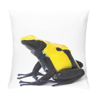 Personality  Citronella Dyeing Poison Dart Frog Pillow Covers