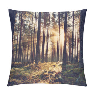 Personality  Coniferous Forest With Morning Sun Shining Pillow Covers
