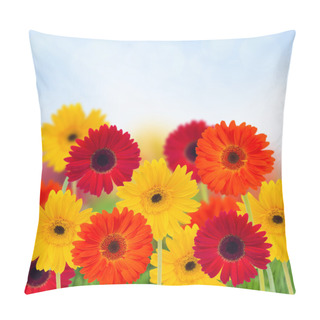 Personality  Garden Of Herbera Flowers Pillow Covers