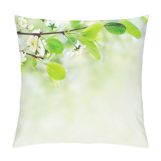 Personality White Spring Flowers On A Tree Branch Pillow Covers